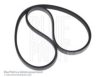 BLUE PRINT AD03R735 V-Ribbed Belts